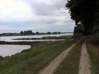 Zwischen Elbe und Gnevsdorfer Vorfluter