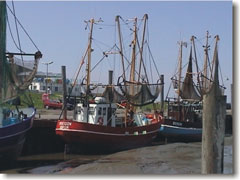 Hafen Dorumer Neufeld